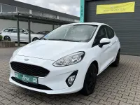 Gebraucht Ford Fiesta Cool & Connect 71 PS (52 kW) 2019 Farbe: Kleinwagen