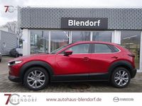Gebraucht Mazda CX-30 Selection 150 PS (110 kW) 2023 Rot SUV