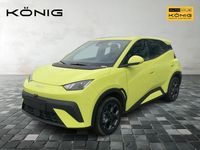 Gebraucht BYD Dolphin Surf Boost 64 kW (88 PS) 2025 Schwarz Kleinwagen