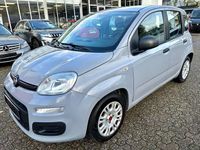 Gebraucht Fiat Panda 69 PS (50 kW) 2022 Grau Limousine