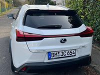 Gebraucht Lexus UX 184 PS (135 kW) 2020 Weiß SUV