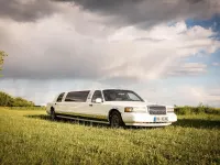Gebraucht Lincoln Town Car 210 PS (154 kW) 1997 Weiß Limousine