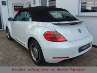 Occasion VW Beetle Design 105 ch (77 kW) 2016 Blanc Citadine
