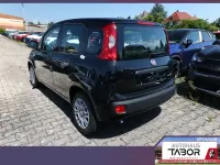 Neu Fiat Panda Pop 65 PS (47 kW) 2026 Schwarz Kleinwagen