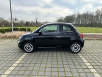 gebraucht Fiat 500 1.2 8V LOUNGE LOUNGE