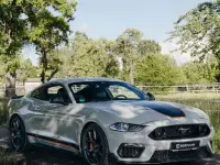 Occasion Ford Mustang Fastback 460 ch (338 kW) 2023 Gris