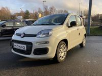 Neu Fiat Panda 69 PS (50 kW) 2025 Schwarz Kleinwagen