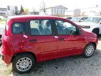 Neu Fiat Panda Icon 70 PS (51 kW) 2026 Schwarz Kleinwagen