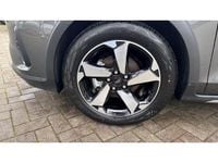 Neu Ford Focus Active 125 PS (91 kW) 2025 Metallic) (grau Kombi