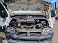 Gebraucht Fiat Ducato 128 PS (94 kW) 2002 Weiß Van