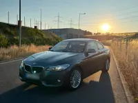 Gebraucht BMW 218 150 PS (110 kW) 2016 Grau Coupé