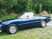 Gebraucht Alfa Romeo Spider 131 PS (96 kW) 1976 Blau Cabrio