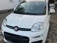 Gebraucht Fiat Panda 69 PS (50 kW) 2012 Weiß Kleinwagen