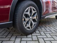Gebraucht Subaru Forester Comfort 150 PS (110 kW) 2024 Rot SUV