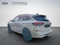 Neu Ford Kuga ST-Line X 242 PS (177 kW) 2026 Metropolisweiß metallic SUV