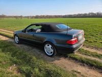 Gebraucht Mercedes CLK230 195 PS (143 kW) 2001 Schwarz Cabrio