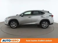 Gebraucht Lexus NX300h E-FOUR Executive Line 197 PS (144 kW) 2019 Grau SUV