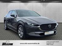 Gebraucht Mazda CX-30 Selection 150 PS (110 kW) 2020 Grau SUV