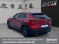 Gebraucht Mazda CX-30 Selection 180 PS (132 kW) 2020 Rot SUV