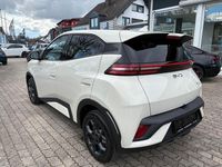 Neu BYD Dolphin Surf Comfort 114 kW (156 PS) 2026 Beige Kleinwagen