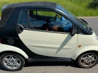 Gebraucht Smart ForTwo Cabrio 54 PS (39 kW) 2000 Cabrio