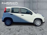 Gebraucht Fiat Panda 69 PS (50 kW) 2024 Gelato weiß (weiß) Kleinwagen
