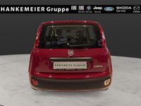 Neu Fiat Panda Icon 65 PS (47 kW) 2026 Rot Kleinwagen