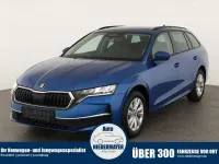 Neu Skoda Octavia Selection 150 PS (110 kW) 2026 Blau Kombi