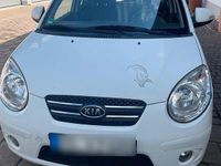 Gebraucht Kia Picanto 65 PS (47 kW) 2009 Weiß Kleinwagen