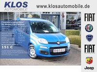 Neu Fiat Panda Icon 65 PS (47 kW) 2026 Blau Kleinwagen
