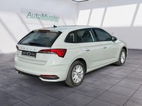 Neu Skoda Scala 116 PS (85 kW) 2025 Grau Kleinwagen