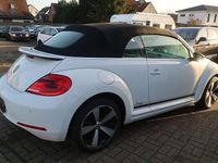 Gebraucht VW Beetle Cabriolet Cup 105 PS (77 kW) 2015 Pure white Cabrio