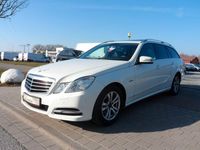 Gebraucht Mercedes E200 184 PS (135 kW) 2011 Weiß Kombi