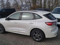 Gebraucht Ford Kuga ST-Line 111 PS (81 kW) 2023 Weiss SUV