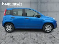 Neu Fiat Panda Icon 69 PS (50 kW) 2026 Blau Kleinwagen