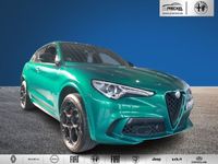 gebraucht Alfa Romeo Stelvio Quadrifoglio Assistenz Paket / GSD