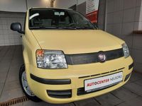 Gebraucht Fiat Panda Active 54 PS (39 kW) 2009 Gelb Kleinwagen