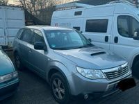 gebraucht Subaru Forester 