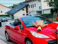 Gebraucht Peugeot 207 CC 120 PS (88 kW) 2012 Rot Cabrio
