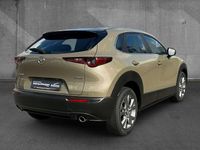 Gebraucht Mazda CX-30 Exclusive 122 PS (89 kW) 2024 Zircon sand SUV