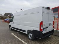 Gebraucht Toyota Proace 140 PS (102 kW) 2024 Weiß Van / Kleinbus