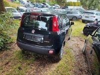 Neu Fiat Panda 69 PS (50 kW) 2025 Schwarz Limousine