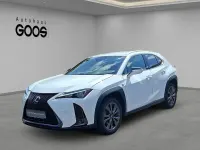 Gebraucht Lexus UX 250h 184 PS (135 kW) 2023 Weiß SUV