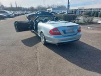 gebraucht Mercedes CLK280 amg