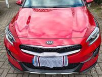 Gebraucht Kia XCeed Vision 160 PS (117 kW) 2022 Rot SUV