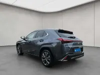 Gebraucht Lexus UX 250h Sport Design Packet 189 PS (139 kW) 2023 Grau SUV