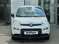 Gebraucht Fiat Panda 69 PS (50 kW) 2022 Weiß Kleinwagen