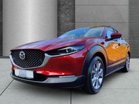Gebraucht Mazda CX-30 Selection 150 PS (110 kW) 2021 Andere SUV