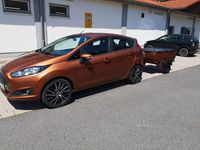 Gebraucht Ford Fiesta Titanium 82 PS (60 kW) 2014 Braun Kleinwagen
