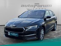 Gebraucht Skoda Octavia Exclusive 150 PS (110 kW) 2024 Blackmagic perleffekt Kombi